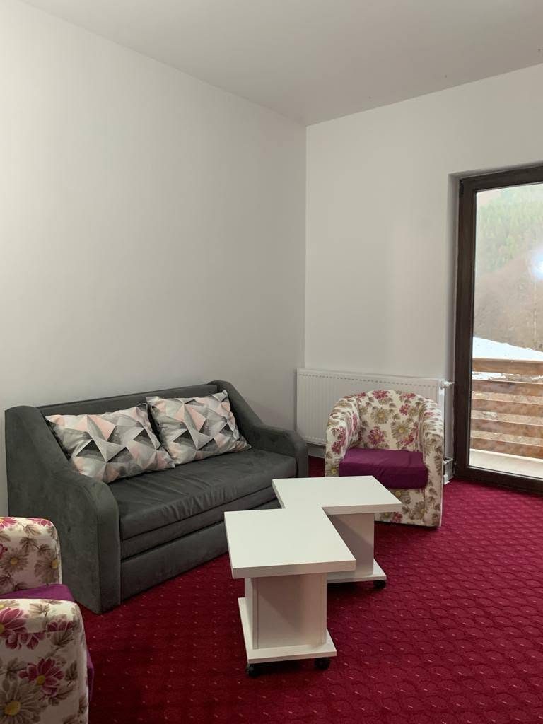 Zona de zi a apartamentului, cu canapea